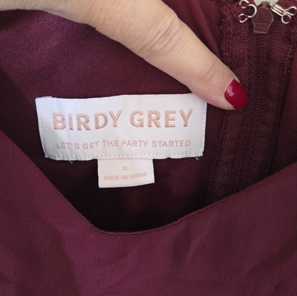 Birdy Grey Theresa Chiffon In Cabernet Bridesmaid Dress - Picture 6 of 6